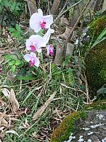 IMG 6896
