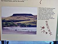 IMG 6904