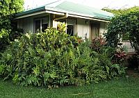 IMG 6935 (2)