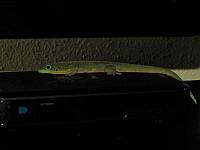 IMG 6936 (2)