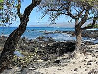 IMG 6967