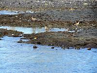 IMG 6977