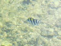 IMG 6984 (2)