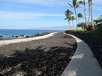 IMG 6998