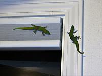 IMG 7013