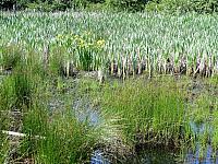 IMG 7318
