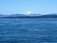 IMG 7337