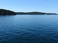 IMG 7341