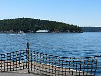 IMG 7342
