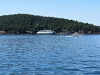 IMG 7343