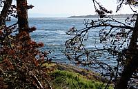 IMG 7375 (2)