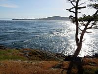 IMG 7378