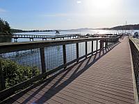IMG 7392