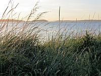 IMG 7396