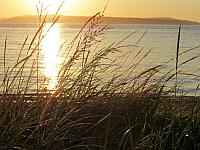IMG 7398
