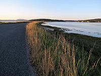 IMG 7402