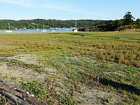 IMG 7449