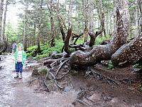 IMG 7688