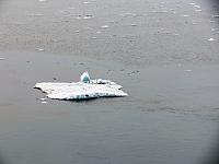 IMG 7760