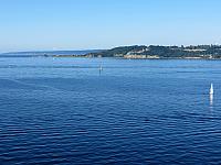 IMG 7544