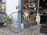 IMG 7880