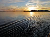 IMG 7953 (2)
