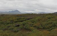 IMG 9106