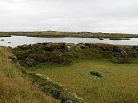 IMG 9142