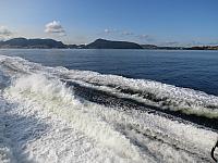 IMG 8866