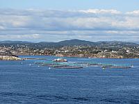 IMG 9009