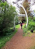IMG 9215