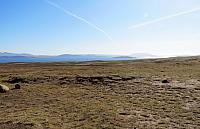 IMG 9281