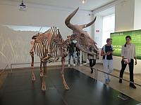IMG 8359