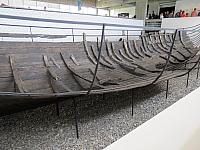 IMG 8519
