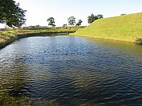 IMG 8671