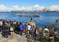 IMG 8725