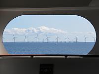 IMG 8818