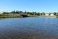 IMG 8142