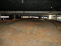 IMG 8255