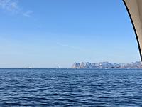 IMG 9445