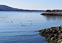IMG 9747