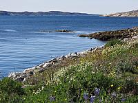 IMG 9752