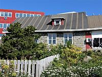 IMG 9768