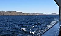 IMG 9811