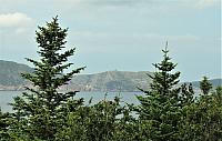 IMG 0004