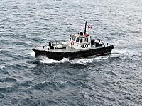 IMG 9964