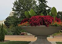 IMG 0261