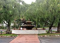 IMG 0345