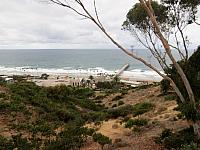 IMG 0387