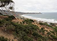 IMG 0388